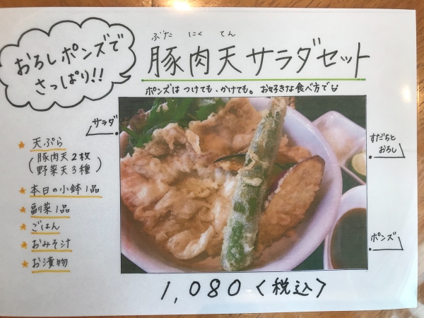 豚肉天サラダセット