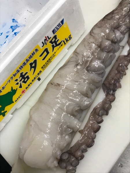 生タコ足